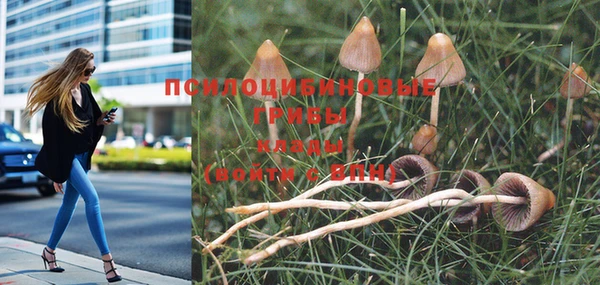MESCALINE Протвино