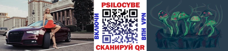 Псилоцибиновые грибы Psilocybe Алагир
